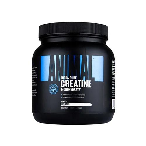 musclepower6266242